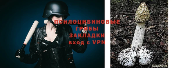 эйфоретик Аркадак