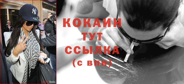 эйфоретик Аркадак