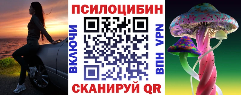 купить наркоту  Бабаево  Галлюциногенные грибы Psilocybine cubensis 